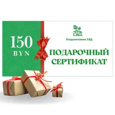 Подарочный сертификат на 150 BYN в Гродно