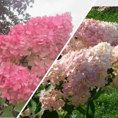 Комплект МНОГОГРАННОСТЬ в Гродно