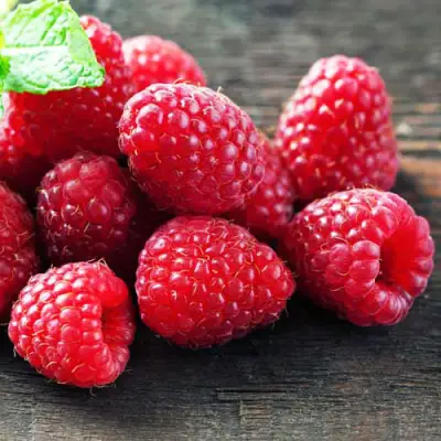 Малина ЭРИКА в Гродно