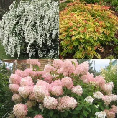 Комплект ФЕЙЕРВЕРК ЛЕТА в Гродно