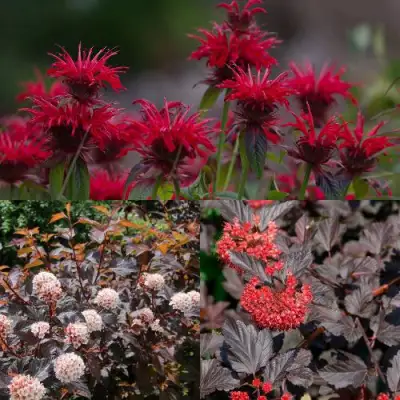 Комплект ОГНЕННЫЙ МИКС в Гродно