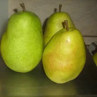 Груша БЕРЕ ЛЮКА в Гродно