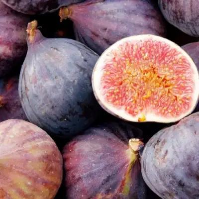 Инжир МУАССОН в Гродно