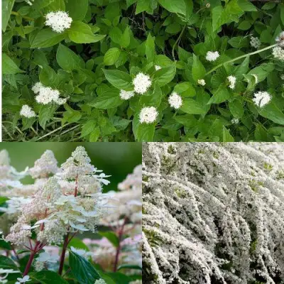 Комплект СКАНДИНАВСКИЙ СТИЛЬ в Гродно