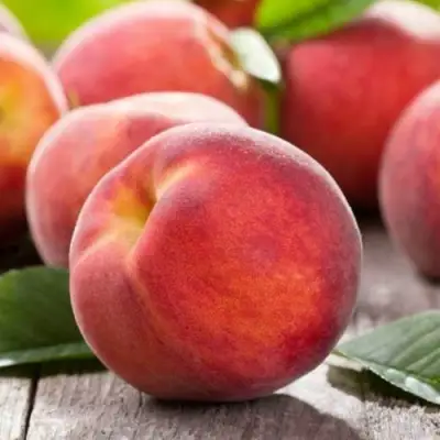 Персик МАЙСКИЙ ЦВЕТОК в Гродно