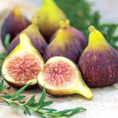 Инжир НИКИТСКИЙ в Гродно