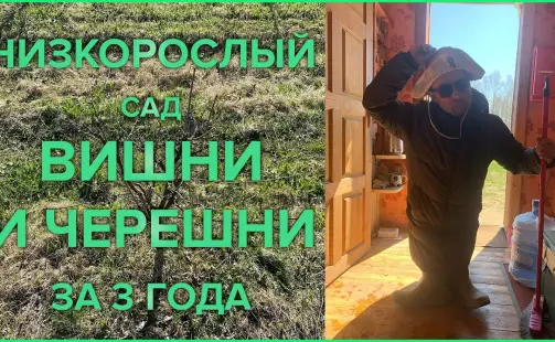 Превью видео