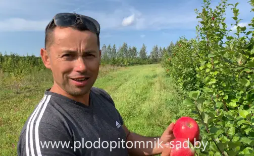 Превью видео