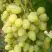 Виноград ЗАРНИЦА в Гродно