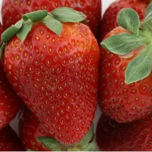 Клубника ФЛАМИНИЯ  Клубника ФЛАМИНИЯ в Гродно