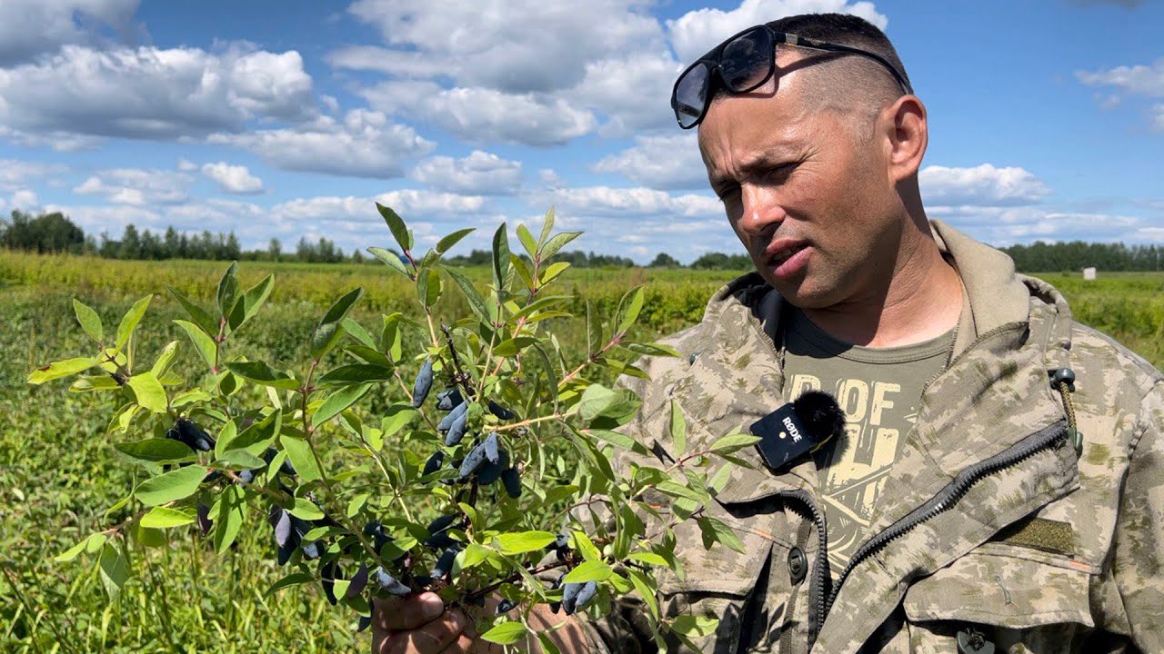 Превью видео