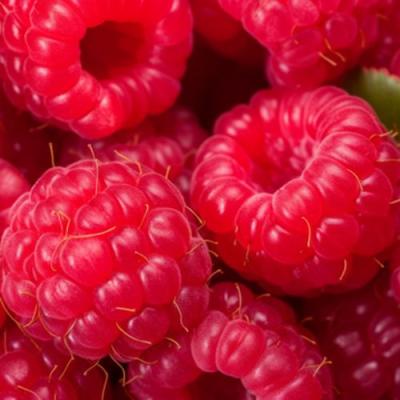 Красная в Гродно