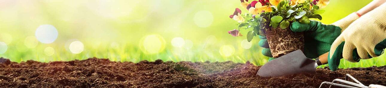 Баннер для видео