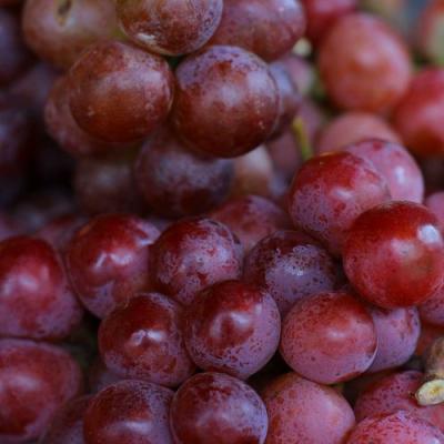 Красный в Гродно