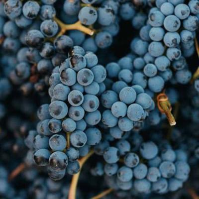 Технический в Гродно