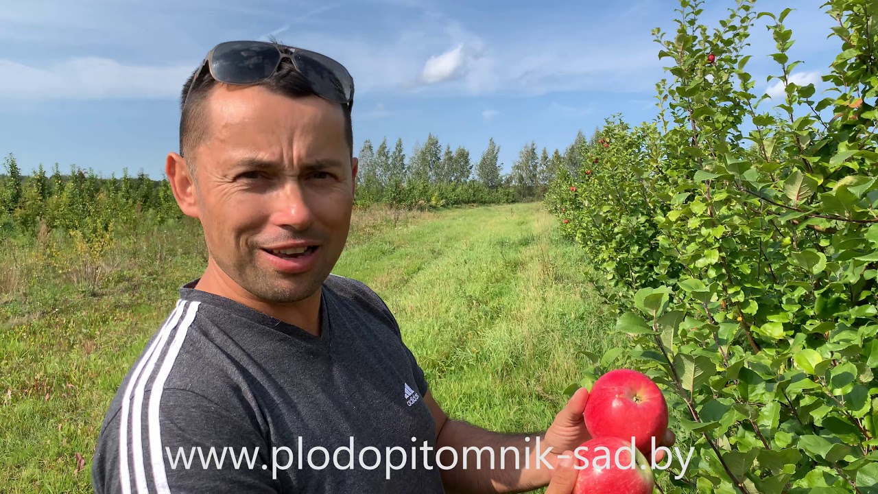 Превью видео