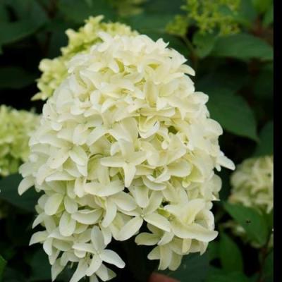 Средние в Гродно