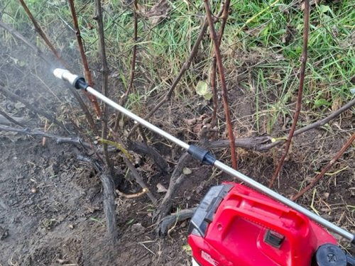 Обработка винограда перед укрытием.jpeg